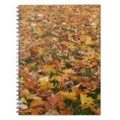 Carnet Feuille d'automne (Devant)