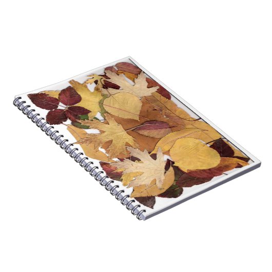 Carnet Feuille d'automne (Côté Droit)