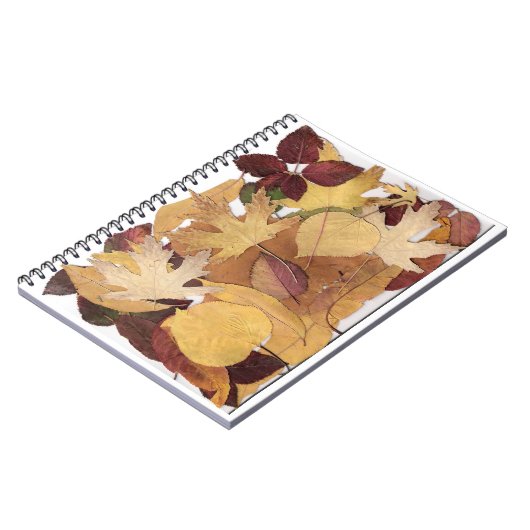 Carnet Feuille d'automne (Côté gauche)