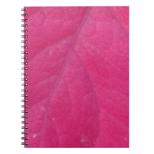 Carnet Feuille d'automne pourpre (Devant)