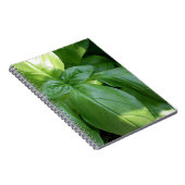 Carnet Feuille de Basil (Côté Droit)