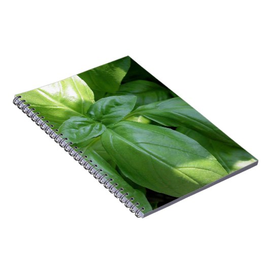Carnet Feuille de Basil (Côté Droit)