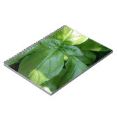 Carnet Feuille de Basil (Côté gauche)