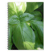 Carnet Feuille de Basil (Devant)