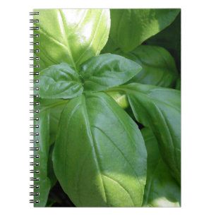 Carnet Feuille de Basil