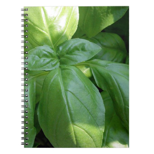 Carnet Feuille de Basil (Devant)