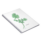 Carnet Feuille de céleri (Côté Droit)