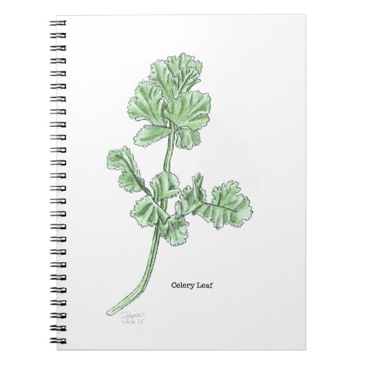 Carnet Feuille de céleri (Devant)