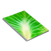 Carnet Feuille de choux (Côté Droit)