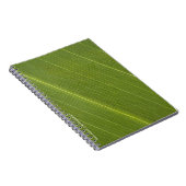 Carnet Feuille de palmier (Côté Droit)