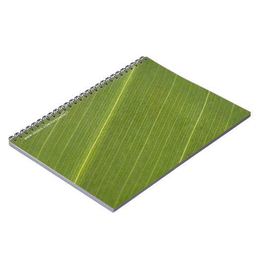 Carnet Feuille de palmier (Côté gauche)