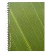 Carnet Feuille de palmier (Devant)