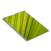 Carnet Feuille de palmier (Côté Droit)