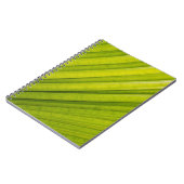 Carnet Feuille de palmier (Côté gauche)