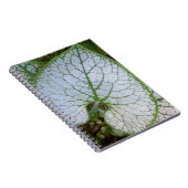 Carnet Feuille de plante Brunnera Macrophylla Florale (Côté Droit)