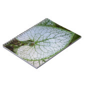 Carnet Feuille de plante Brunnera Macrophylla Florale (Côté gauche)