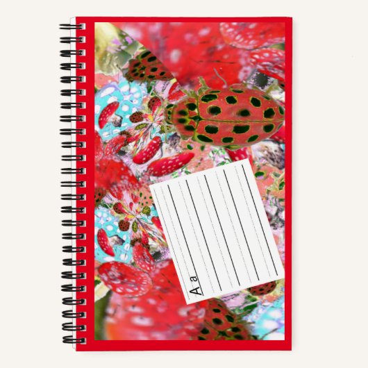 Carnet Feuille d'écriture ABC (Recto)