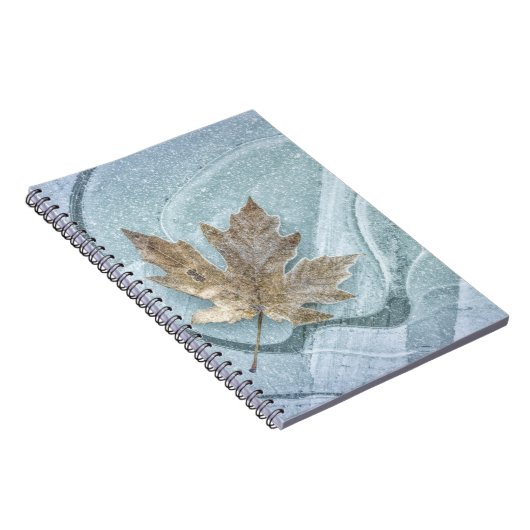 Carnet Feuille d'érable congelée sur glace (Côté Droit)