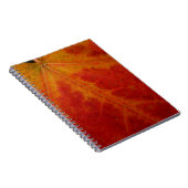 Carnet Feuille d'érable rouge Abstraite Automne Photograp (Côté Droit)