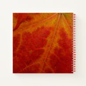 Carnet Feuille d'érable rouge Abstraite Automne Photograp (Dos)