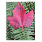 Carnet Feuille d'érable rouge sur Green Fern Botanical (Devant)