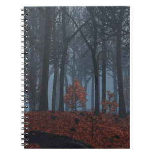 Carnet Feuille d'hiver
