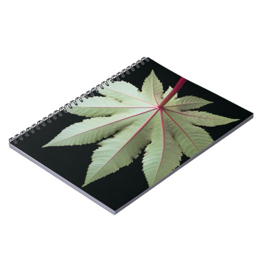 Carnet Feuille et tige (Côté gauche)