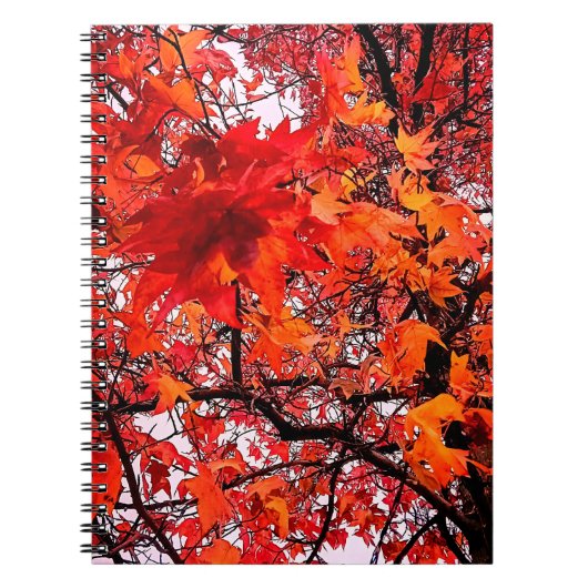Carnet Feuille orange et rouge (Devant)