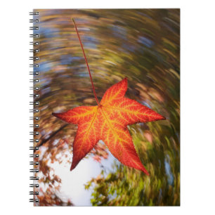 Carnet Feuille tombante d'un arbre en automne
