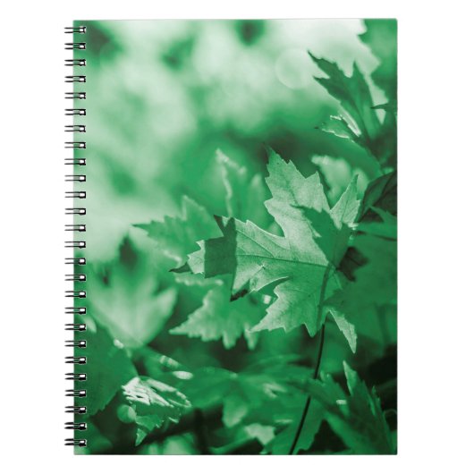 Carnet Feuille vert arrière - plan nature (Devant)