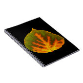 Carnet Feuille vert orange et jaune d'Aspen #1 (Côté Droit)
