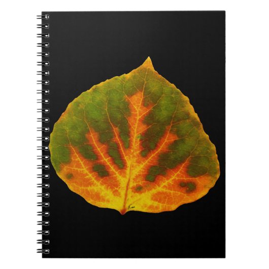 Carnet Feuille vert orange et jaune d'Aspen #1 (Devant)
