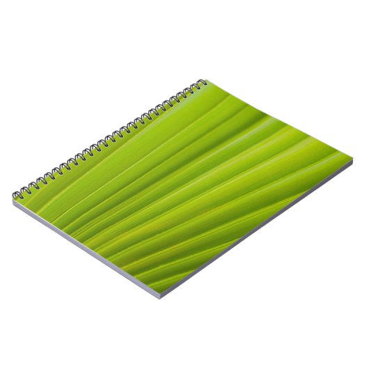 Carnet Feuille verte (Côté gauche)