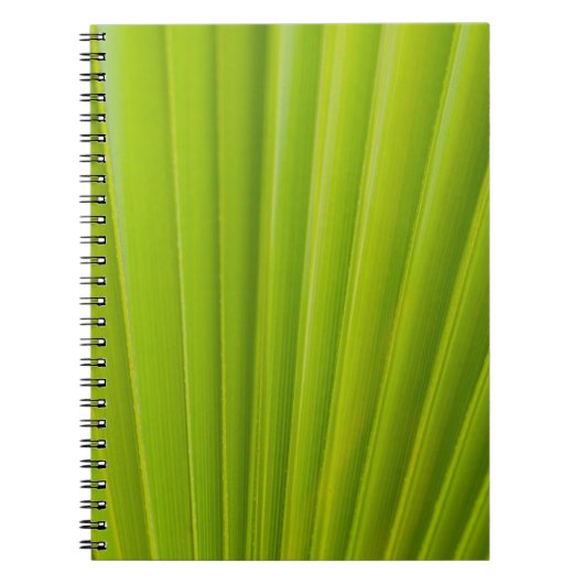 Carnet Feuille verte (Devant)