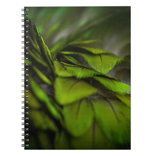Carnet Feuille verte (Devant)