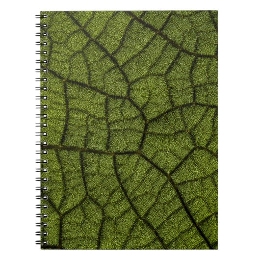 Carnet Feuille verte (Devant)