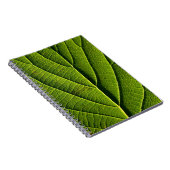 Carnet Feuille verte (Côté Droit)