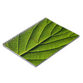 Carnet Feuille verte (Côté gauche)