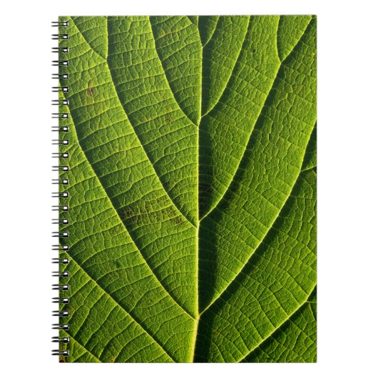 Carnet Feuille verte (Devant)