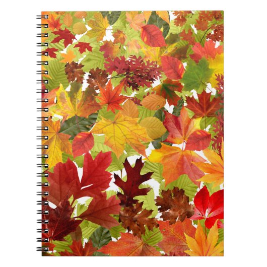 Carnet Feuilles automnales d'automne (Devant)