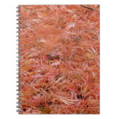 Carnet Feuilles automnales rouges du Bloc-notes (Devant)