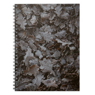 Carnet Feuilles Brown