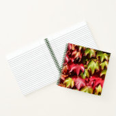 Carnet Feuilles d'automne (Intérieur)