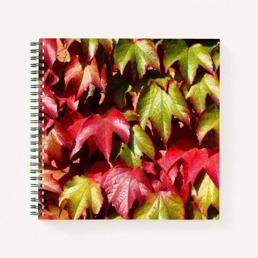 Carnet Feuilles d'automne (Devant)
