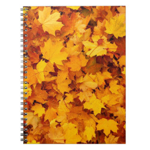 Carnet Feuilles d'automne