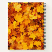 Carnet Feuilles d'automne (Dos)