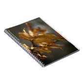 Carnet Feuilles d'automne (Côté Droit)
