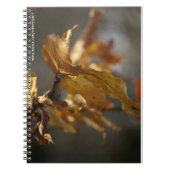 Carnet Feuilles d'automne (Devant)