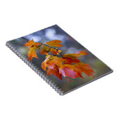 Carnet Feuilles d'automne (Côté Droit)