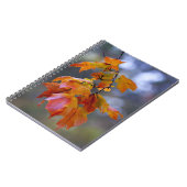 Carnet Feuilles d'automne (Côté gauche)